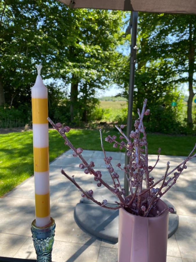 Luxe En Gezellig Chalet Aan Veluwemeer 4 Pers Hulshorst Exteriér fotografie